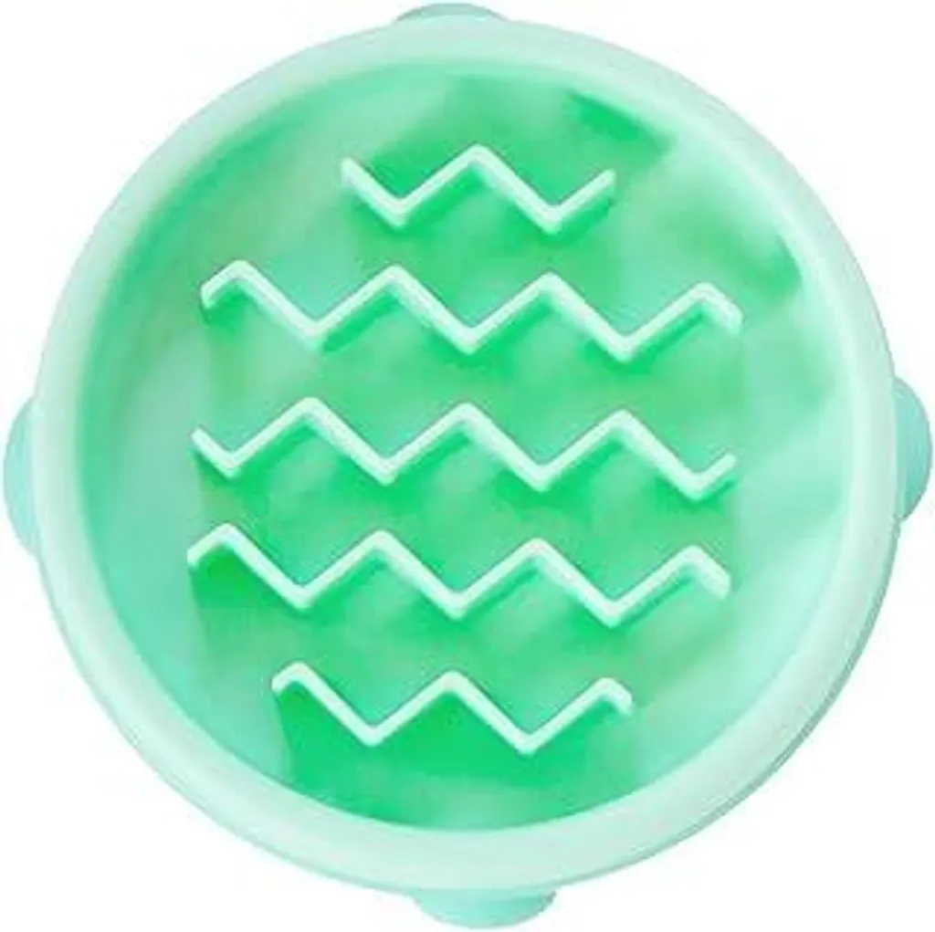 Ciotola Anti-Ingozzamento Outward Hound Menta - Slow Feeder Cani e Gatti