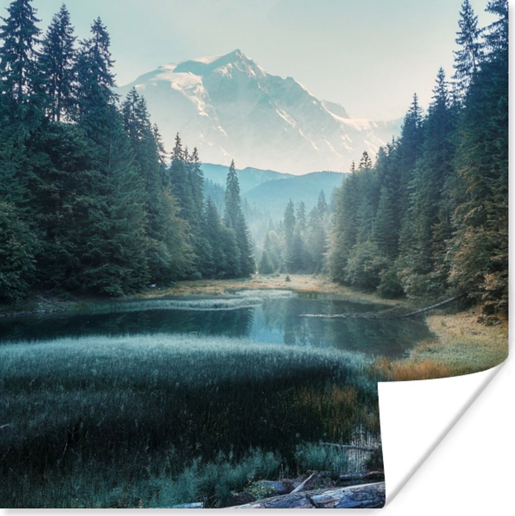 MuchoWow Poster Wald - Gras - Berge - Bäume - Natur 100x100 cm - Babyzimmer