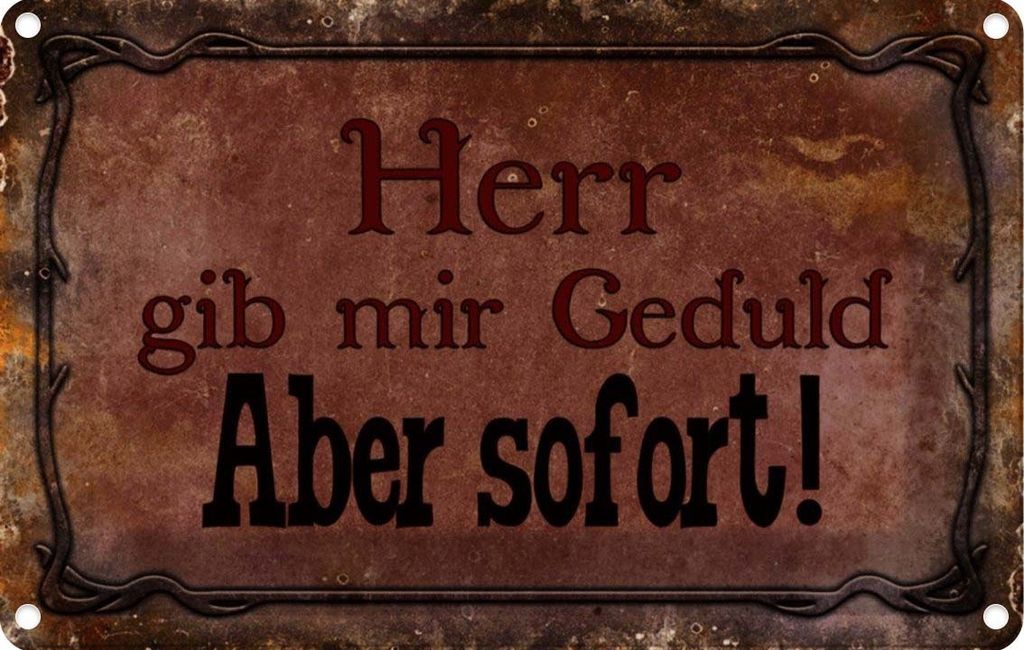 vianmo Blechschild 20x30 cm Herr gib mir Geduld aber sofort Spruch Zitat