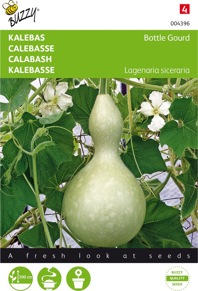 Kürbis Bottle Gourd | Kürbissamen von Buzzy Seeds