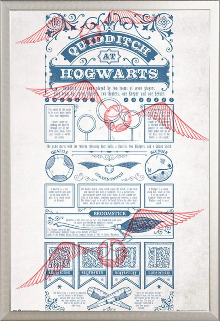Poster Quidditch Harry Potter Hogwarts Cornice Shinsuke Argento 61x91 - 1