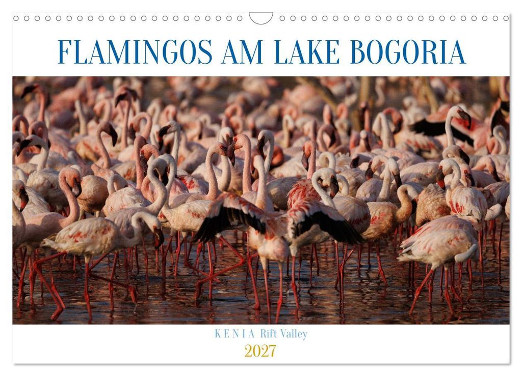 Flamingos am Lake Bogoria - Kenia (Wandkalender 2027 DIN A3 quer), CALVENDO Monatskalender