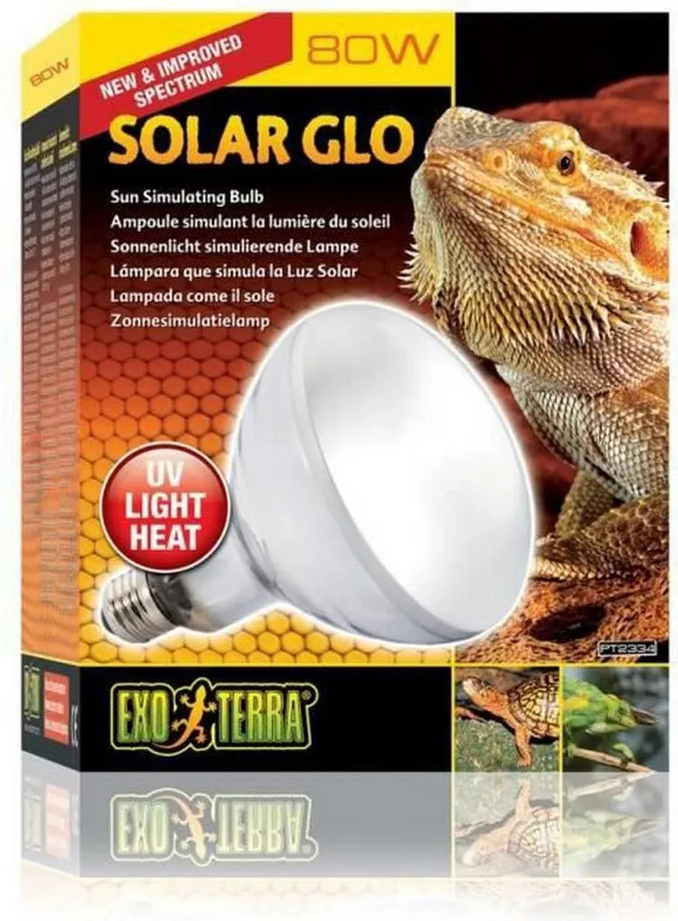 Terrario Exo Terra ad ampolla 80 W