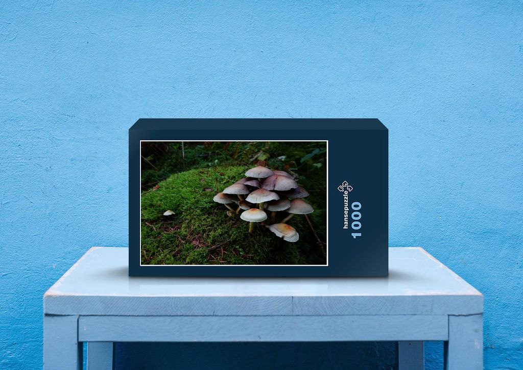 hansepuzzle 21969 - Pilz-Köpfe Puzzle, 1000 Teile, Natur, 60,0 x 46,0cm mit hochwertiger Aufbewahrung, Kartonbox und wiederverschließbarem Beutel