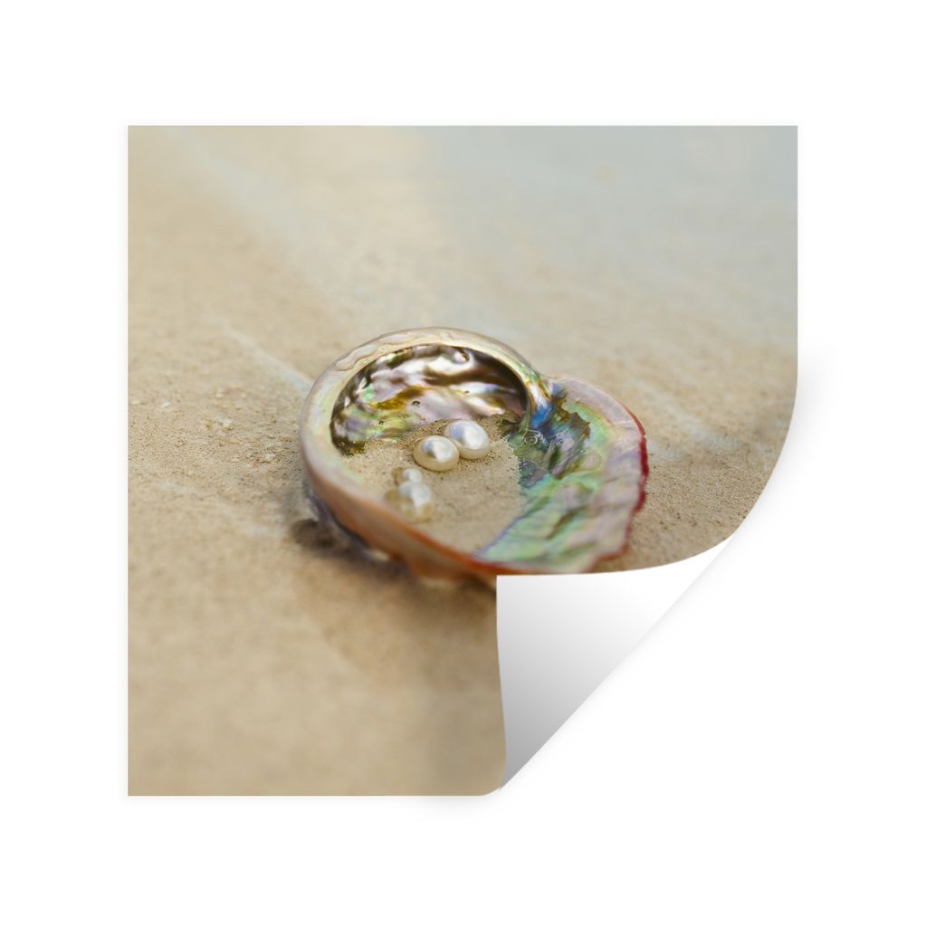 MuchoWow Wandtattoo Wandsticker Wandaufkleber Perlen in Austernschalen am Strand 50x50 cm Selbstklebend und Repositionierbar - Selbstklebend - Fo...