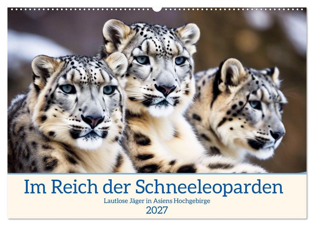 Im Reich der Schneeleoparden (Wandkalender 2027 DIN A2 quer), CALVENDO Monatskalender
