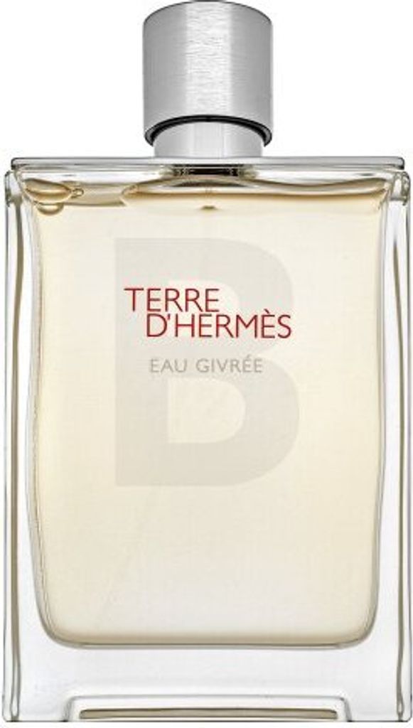 Hermès Terre d’Hermès Eau Givrée - Refillable Eau de Parfum für Herren 175 ml