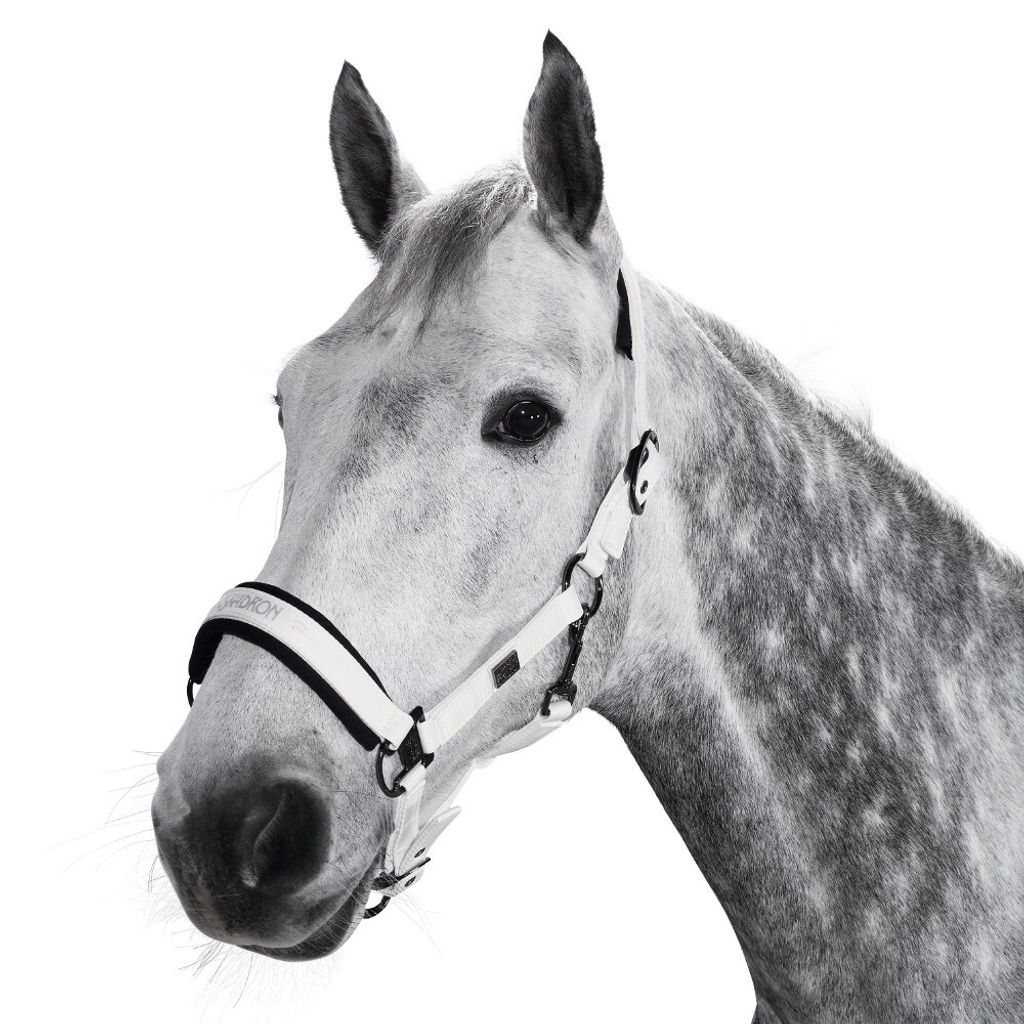 Eskadron Platinum PURE Dornschnalle, weiß Größe - Vollblut