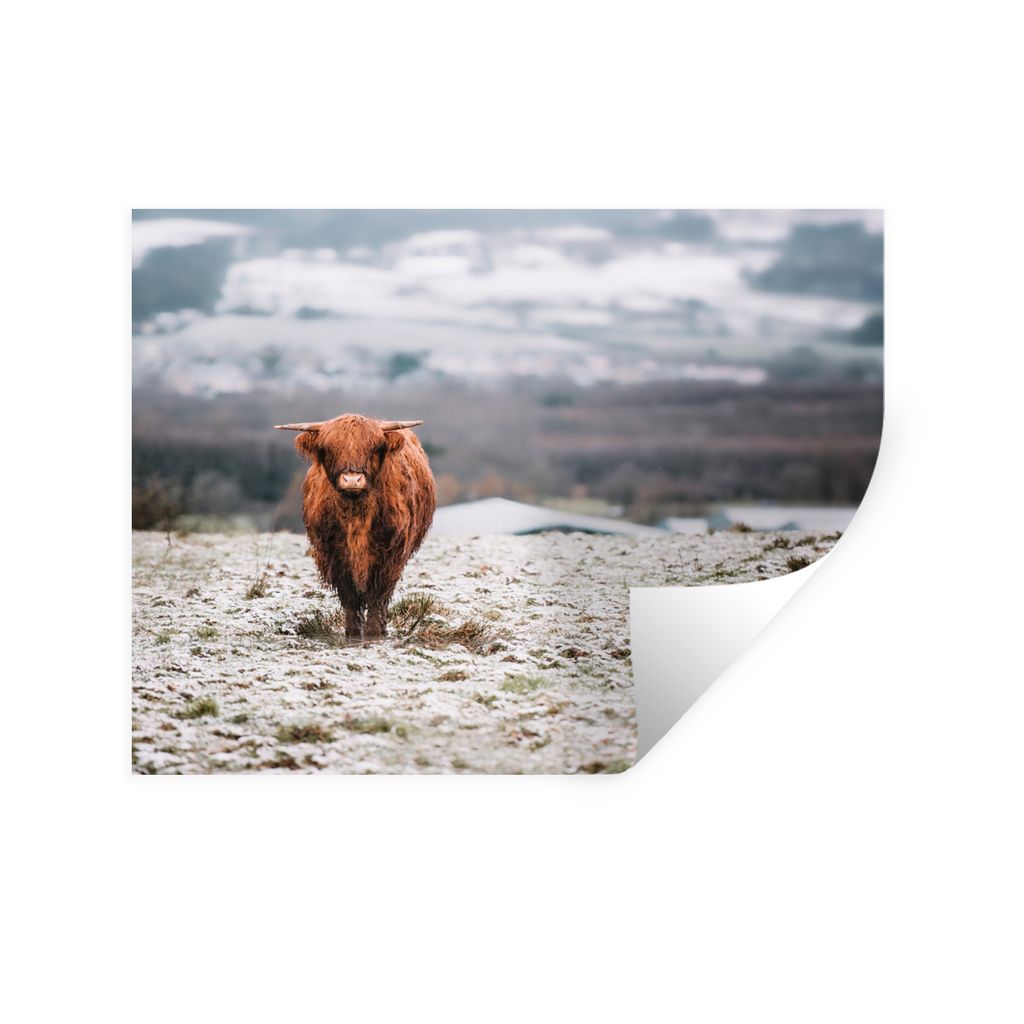 MuchoWow Wandtattoo Wandsticker Wandaufkleber Schottischer Highlander - Schnee - Berg 120x90 cm Selbstklebend und Repositionierbar - Aufkleber