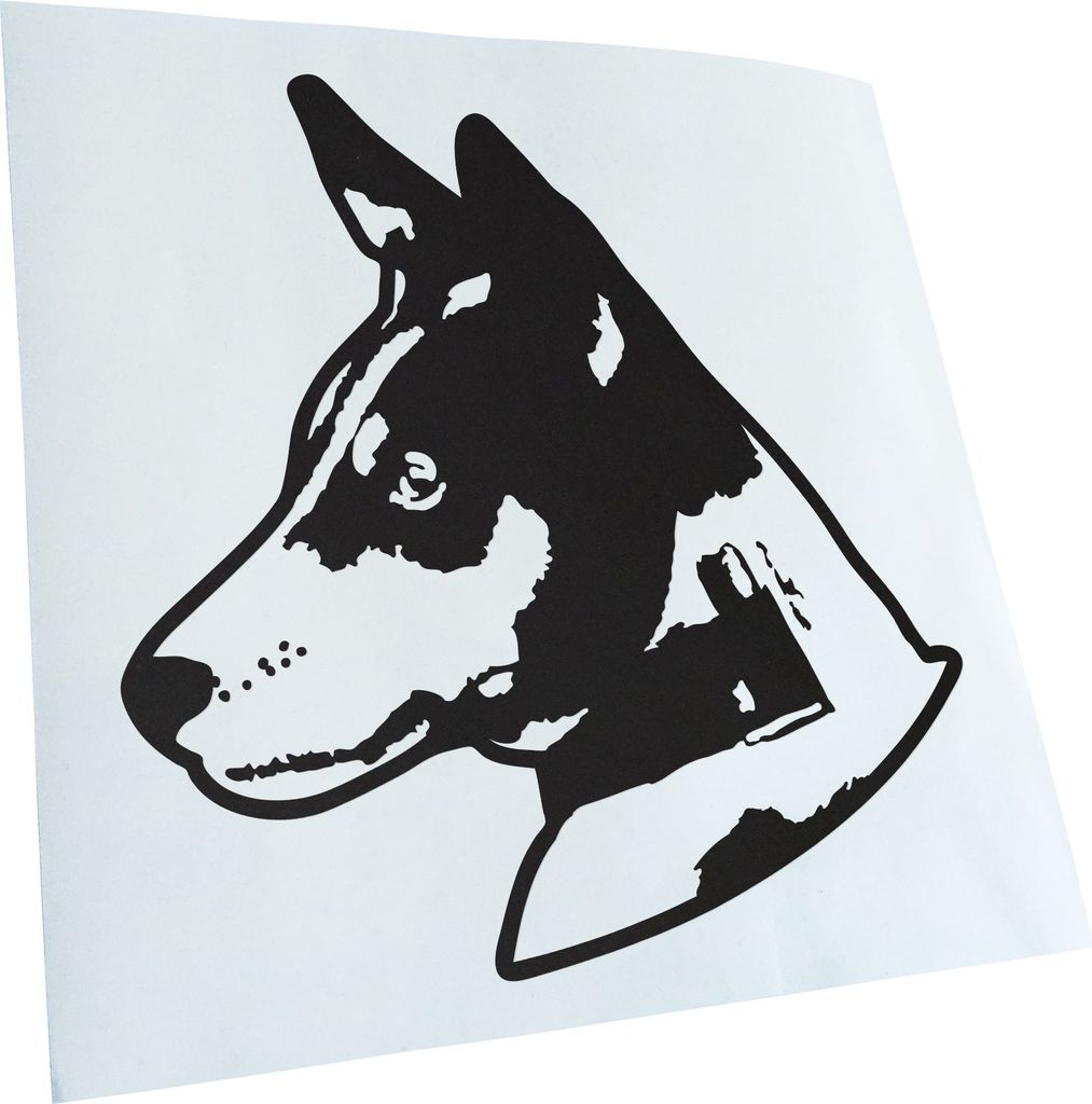 Kiwistar - Autoaufkleber - Basenji Hund - Mattweiss - 11x10cm - Aufkleber für Auto, Laptop, Fahrrad, LKW, Motorrad mehrfarbig JDM Decal Racing