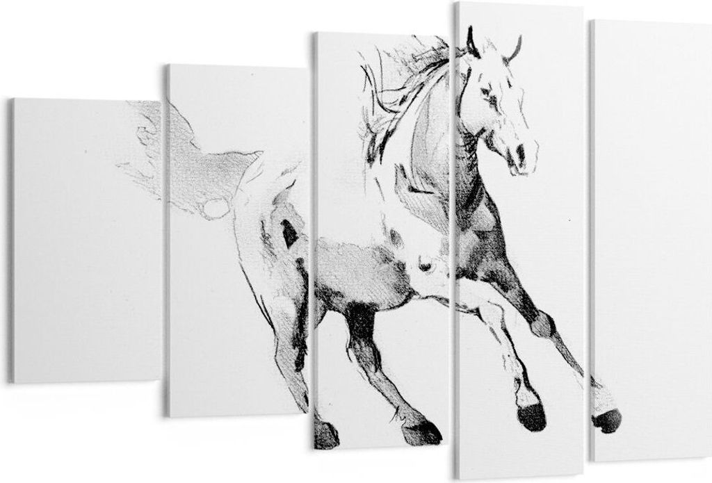 Bild auf Leinwand - Leinwandbild - 5 Teile - Pferd Galopp Tier - 150x100cm - Wand Bild - Wanddeko - Wandbilder - Leinwanddruck - Bilder - Wanddekor...