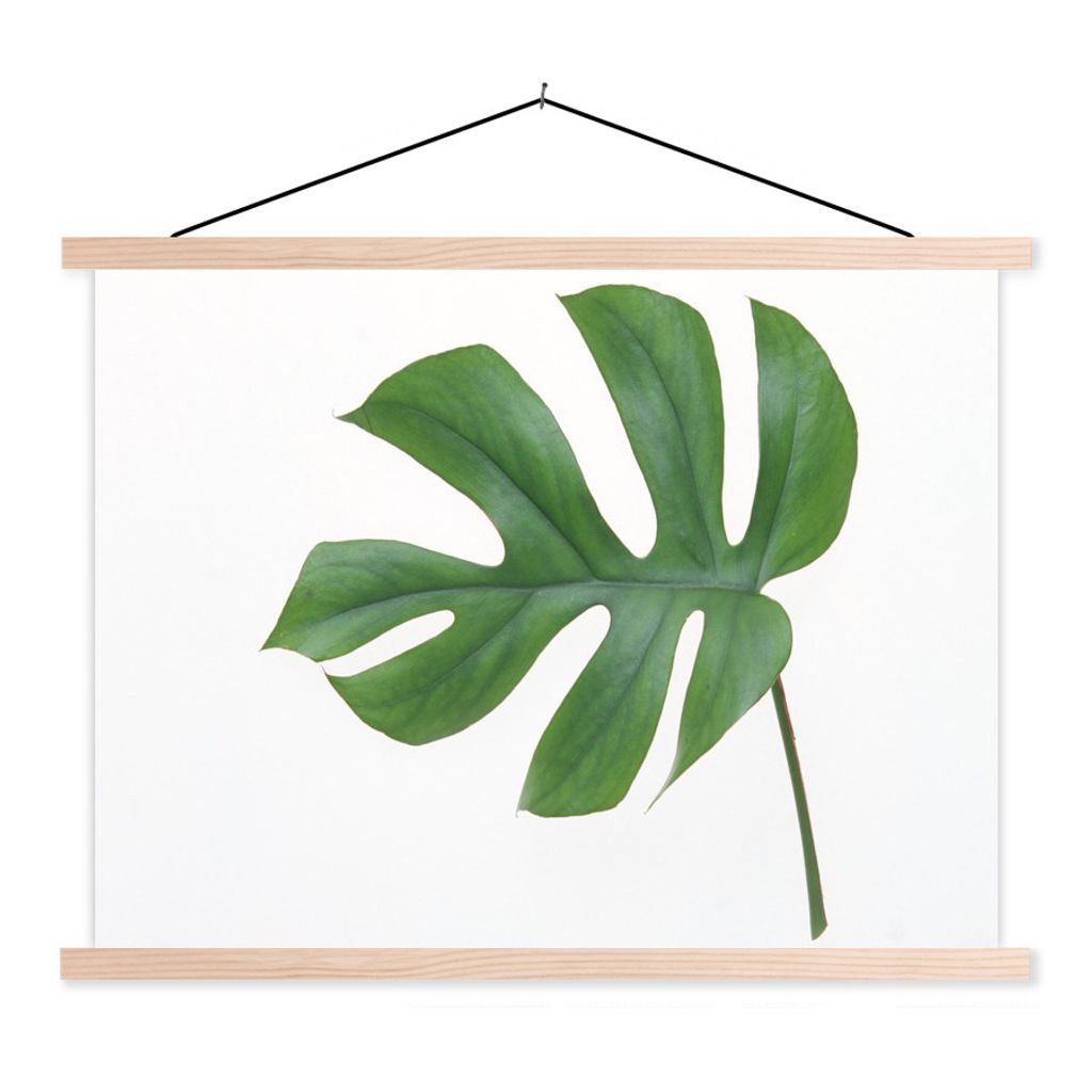 MuchoWow Textilposter Botanisches Blatt auf weißem Hintergrund 120x90 cm mit holzfarbenen Rahmen - Magnetisch