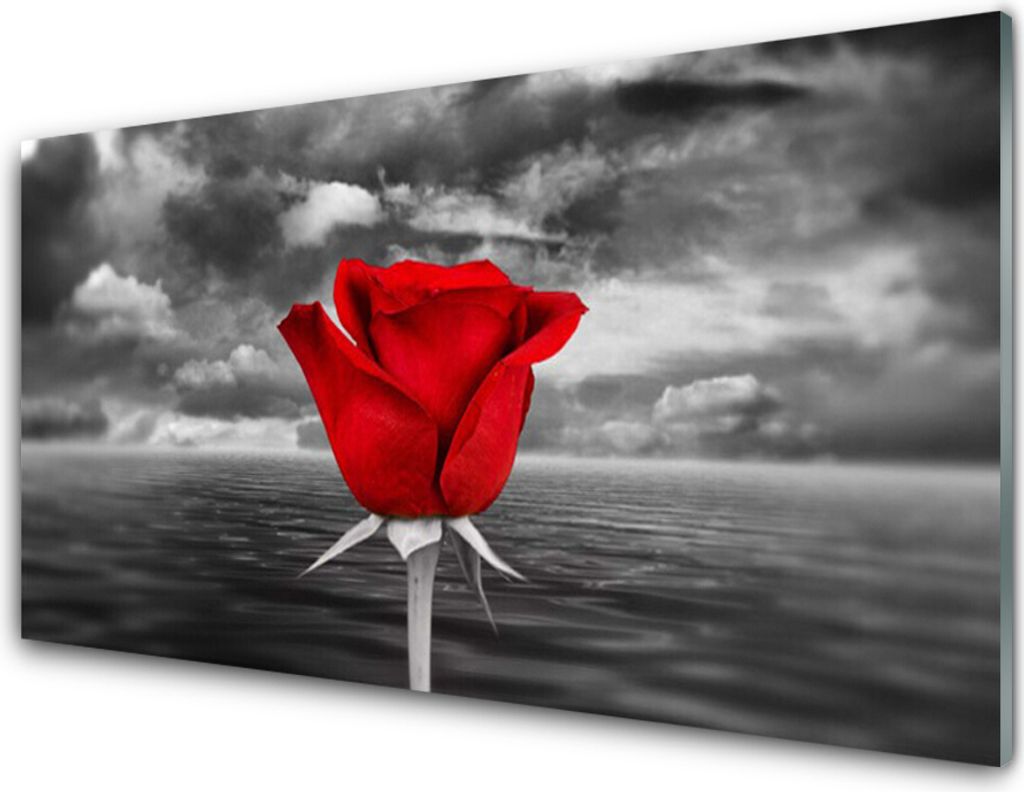 Acrylglasbilder 100x50 Wandbild Druck Rose Pflanzen