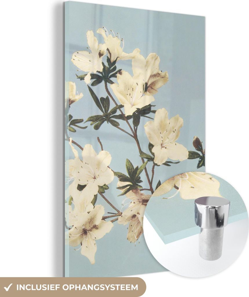 MuchoWow Glasbilder - Bilder auf Wandbild - Foto auf Glas Vintage - Blumen - Weiß - Natur 60x90 cm Wanddekoration aus Glas - Acrylglasbild - Acryl...