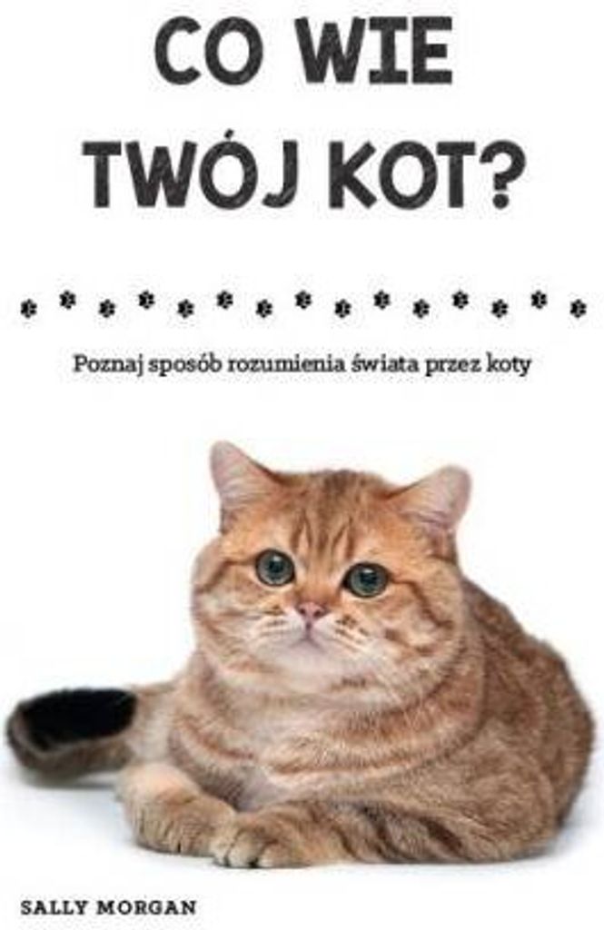 Co wie Twój kot? - Sally Morgan (Literatur, Hobby auf Polnisch)