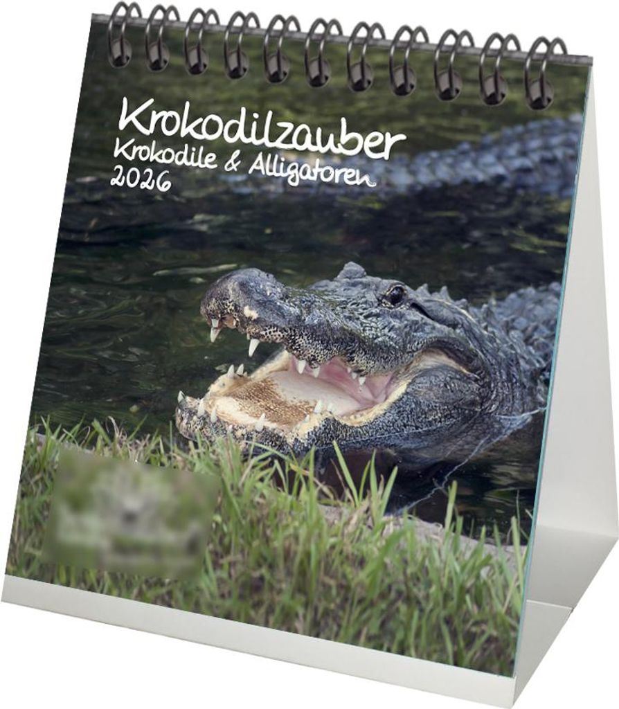 Krokodilzauber Tischkalender 10cm x 10cm für 2026 Krokodile und Alligatoren - Seelenzauber