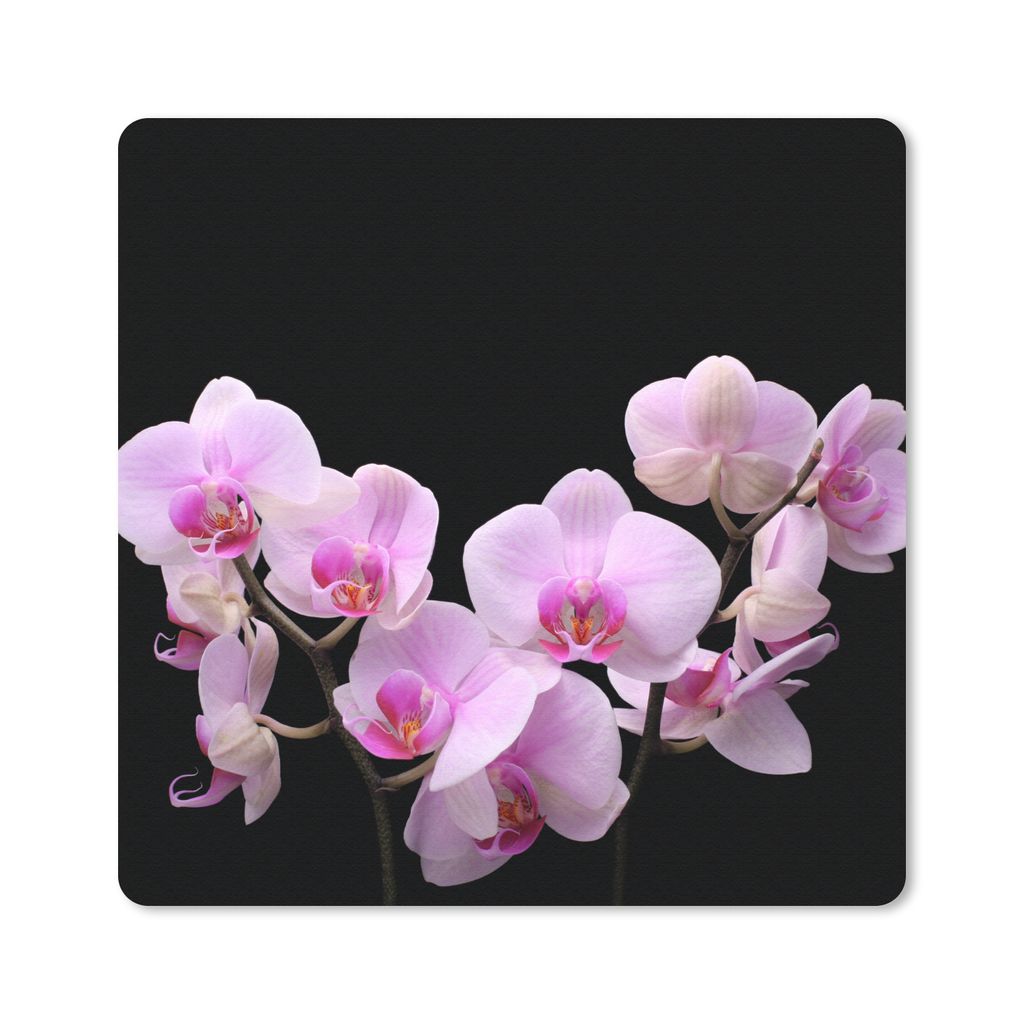 MuchoWow Mauspad Mousepad Orchidee - Blumen - Rosa - Flora 20x20 cm - Mousepads - Maus Mat - Pad - Mausunterlage - Desk Mat - Bureauartikeln