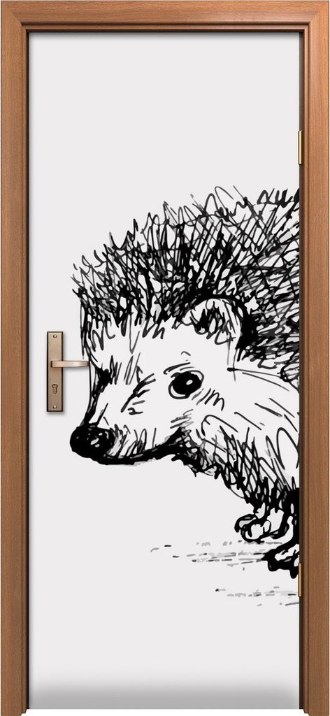 Türposter 80x200 cm Türaufkleber Türtapete Türfolie Klebefolie Foto Kleine Igel Tiere