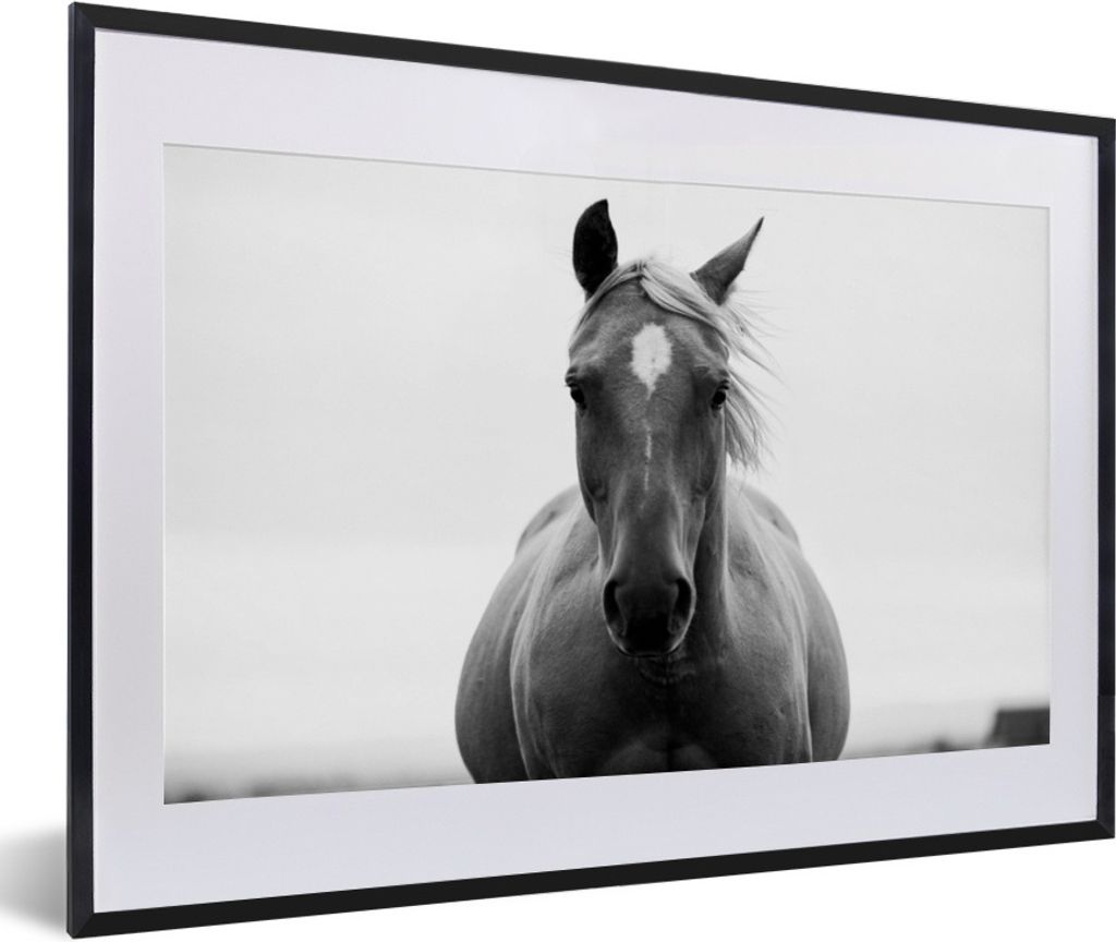 MuchoWow Gerahmtes Poster Pferd - Tier - Schwarz - Weiß 60x40 cm - Poster mit Schwarzem Bilderrahmen Wandposter Rahmen Foto Bilder - Schlafzimme...
