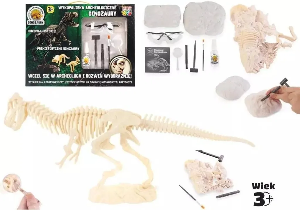 Jeu de Fouille Dinosaure pour Enfant - Coffret Éducatif Scientifique