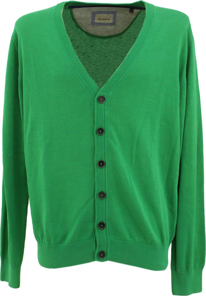 28531 Calamar, , Herren Sweatjacke Strickjacke, feiner Glattstrick, green, L