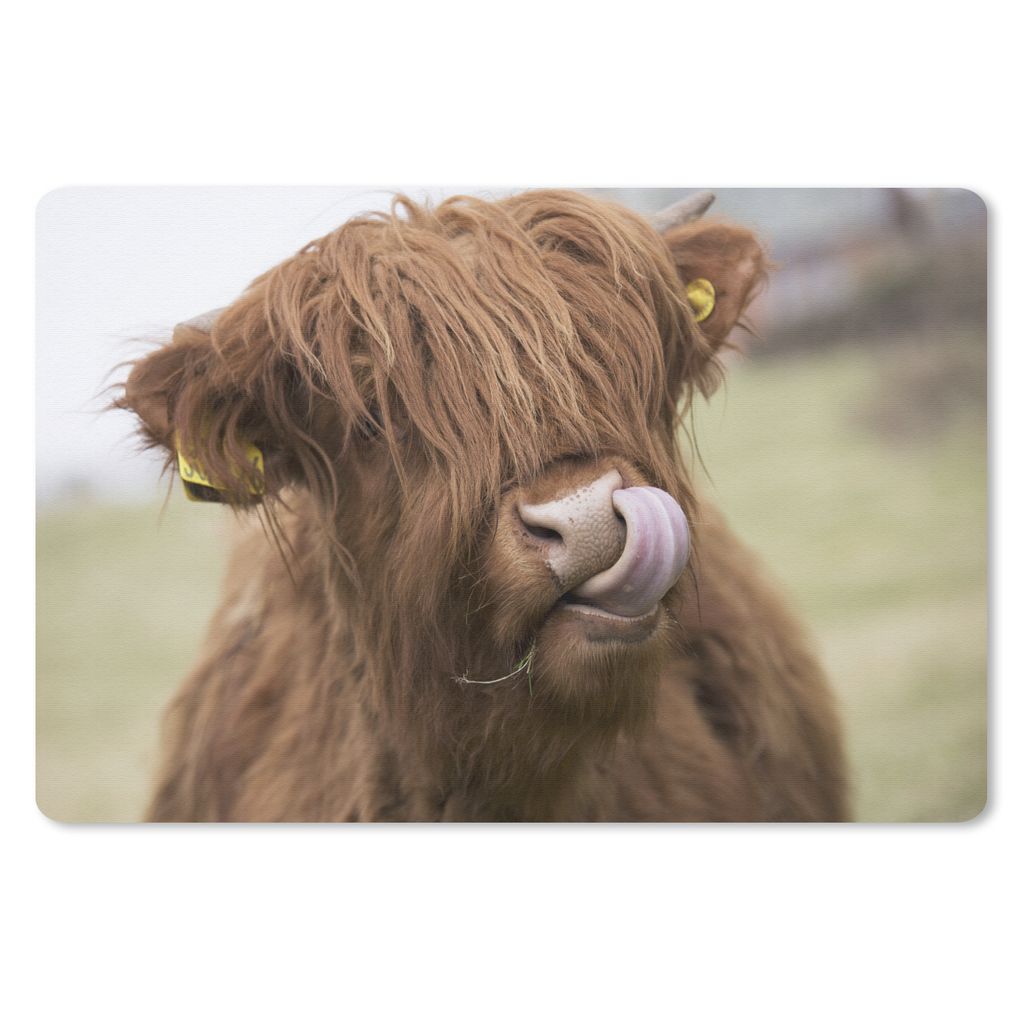 MuchoWow® Mauspad Mousepad Schottischer Highlander - Braun Produktbild 