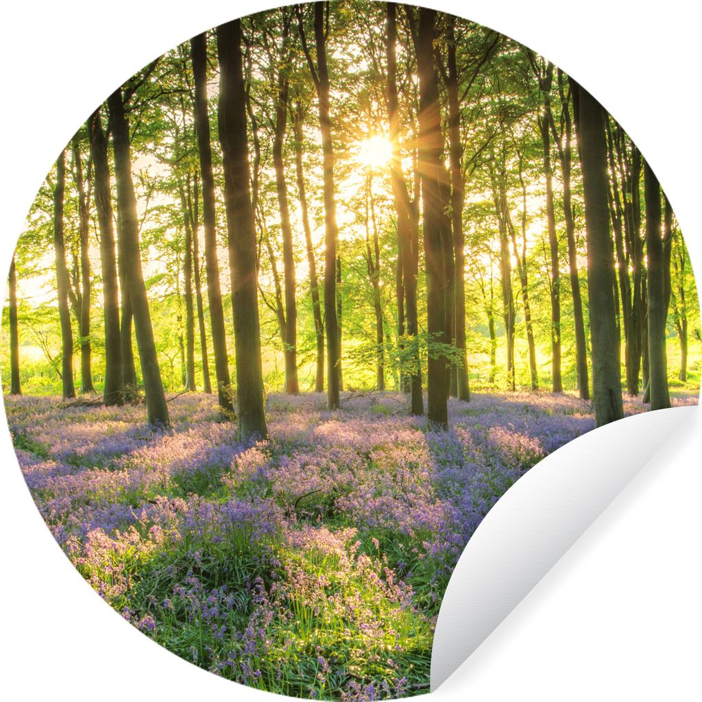 MuchoWow Runde Wandtattoo - Wandsticker Tapete Aufkleber Frühling - Wald - Sonne Ø 100 cm Selbstklebend und Repositionierbar - Wandaufkleber - ...
