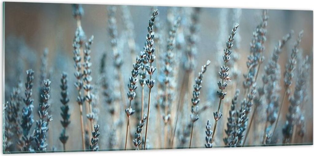 Bilder auf glas - Einteilig - Lavendel Klinge Blume - 120x50cm - Glasbilder - Wandbilder - Bilder - zum Aufhängen bereit - Wanddekoration aus Glas...