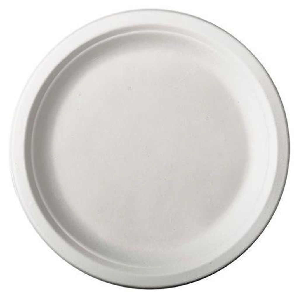 100 Teller, Zuckerrohr "pure" ungeteilt Ø 26 cm · 2 cm Produktbild 