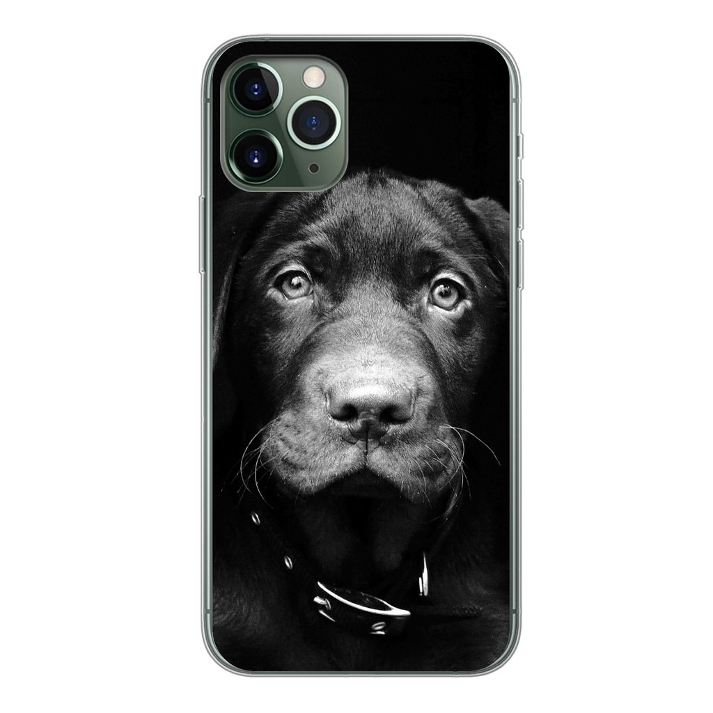 MuchoWow Handyhülle Schutzhülle Hülle für iPhone 11 Pro Nahaufnahme Labrador Welpe vor schwarzem Hintergrund in schwarz und weiß Silikon Sof...