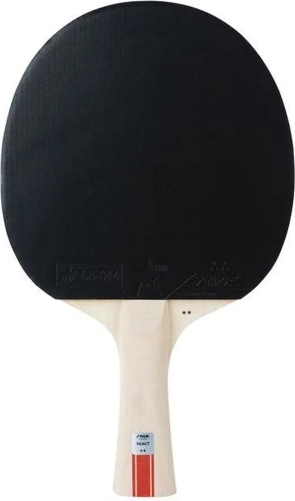 Équipement Tennis de Table STIGA pour Entraînement et Compétition Intensive - 2