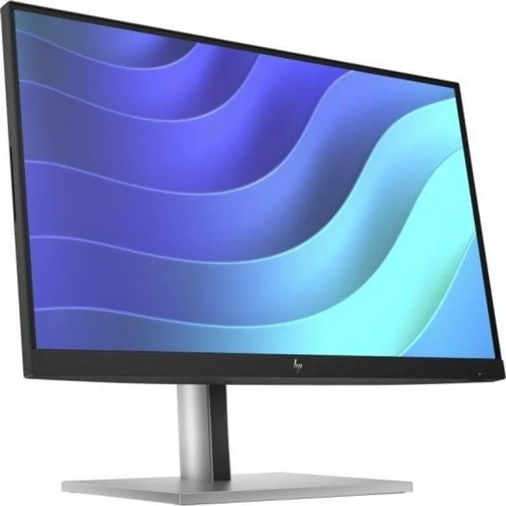 HP E-Series E22 G5 Écran 21,5 pouces Full HD IPS 75Hz pour le Bureau