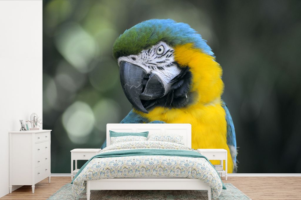MuchoWow Fototapete für Wohnzimmer oder Schlafzimmer Wandtapete Vinyl Motivtapete Vogel - Papagei - Blau - 525x350 cm - Das Hintergrundbild