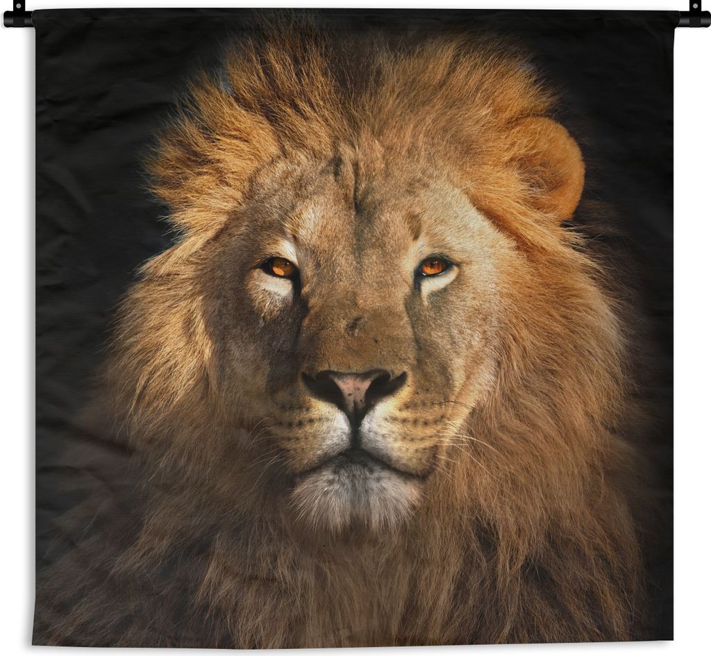 MuchoWow Wandteppich Wandbehang Löwe - Tiere - Schwarz - Hell - Braun - Porträt 60x60 cm Tapisserie Dekoration Wandtuch - Dekorationen - Wand D...