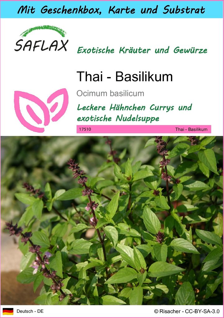 SAFLAX - Geschenk Set - Kräuter - Thai - Basilikum - 200 Samen - Mit Geschenk- / Versandbox, Versandaufkleber, Geschenkkarte und Anzuchtsubstrat -...