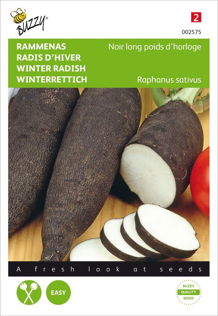 Winterrettich Noir Long Poids D’Horloge | Rettichsamen von Buzzy Seeds