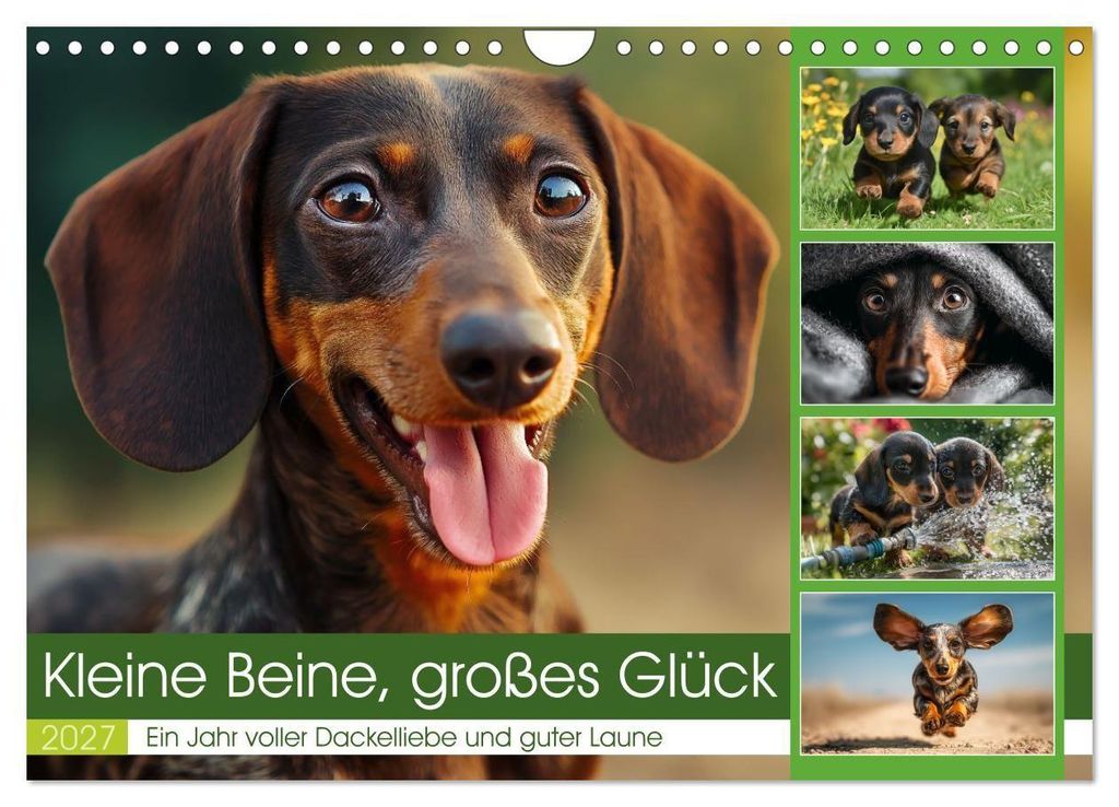 Kleine Beine, großes Glück (Wandkalender 2027 DIN A4 quer), CALVENDO Monatskalender