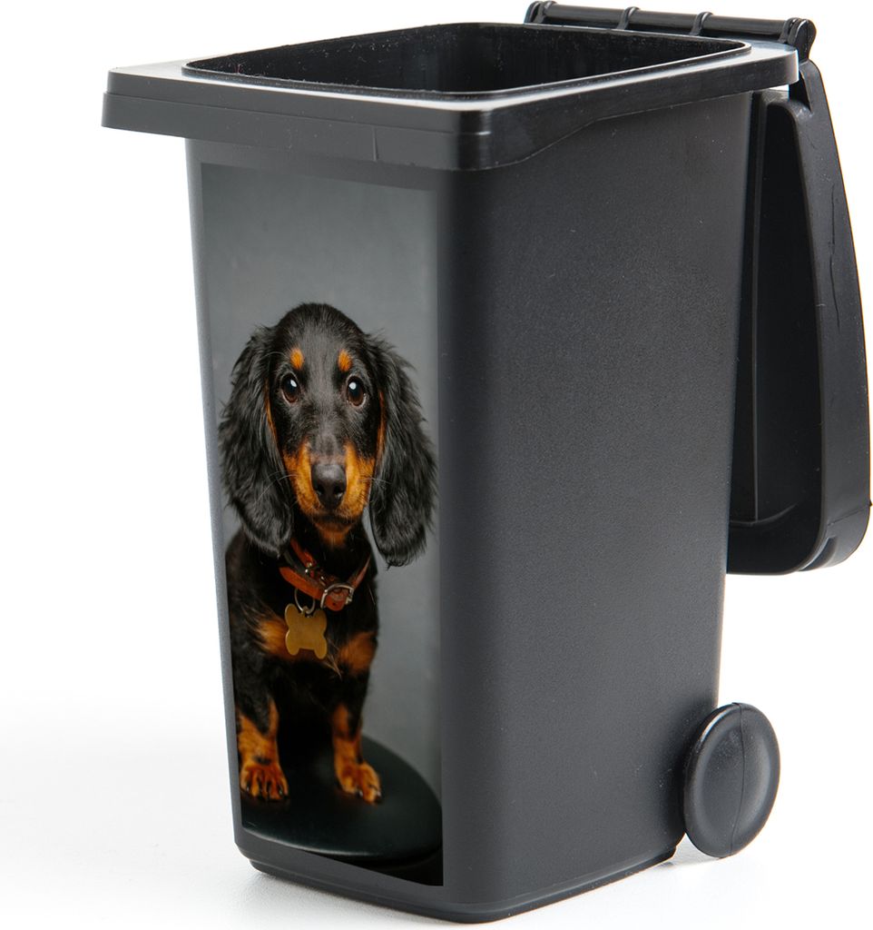 MuchoWow Mülltonnenaufkleber Studiofoto eines Dackelwelpen 44x98 cm - Containeraufkleber - Aufkleber - Mülltonnen-Aufkleber