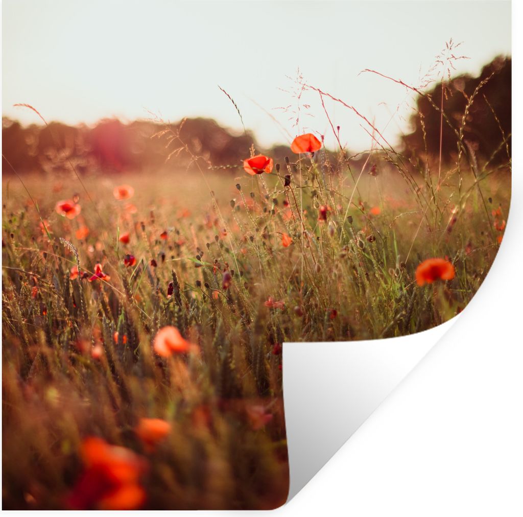 MuchoWow Wandtattoo Wandsticker Wandaufkleber Sonnenuntergang - Blumen - Rot 30x30 cm Selbstklebend und Repositionierbar - Repositionierbar - Was...