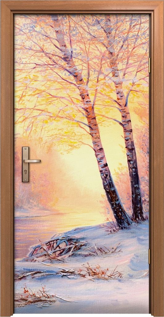 Türposter 90x200 cm Türaufkleber Türtapete Türfolie Produktbild 