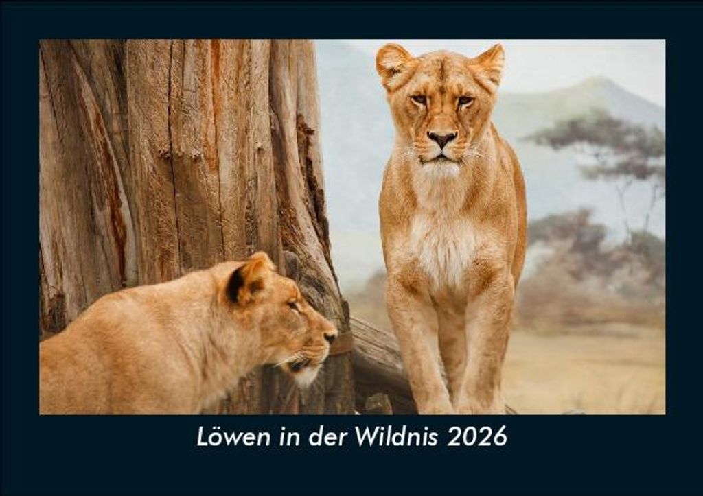 Löwen in der Wildnis 2026 Fotokalender - Querformat DIN A5, Monatskalender mit Bild-Motiven von Haustieren, Bauernhof, wilden Tieren und Raubtieren