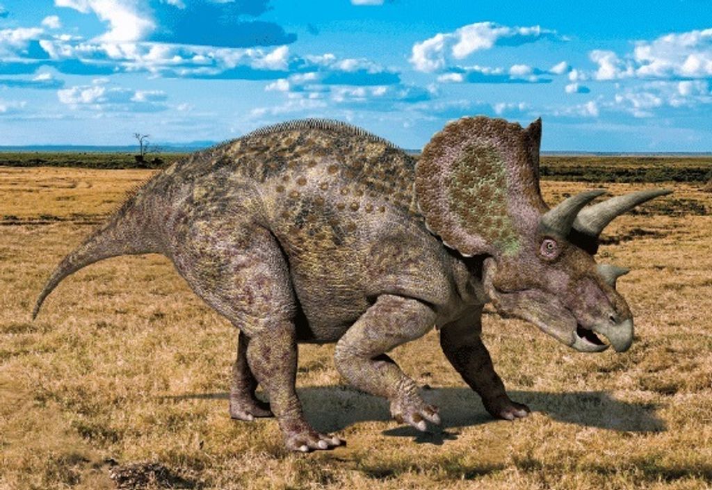 3 D Ansichtskarte Dinosaurier Triceratops, Postkarte Produktbild 
