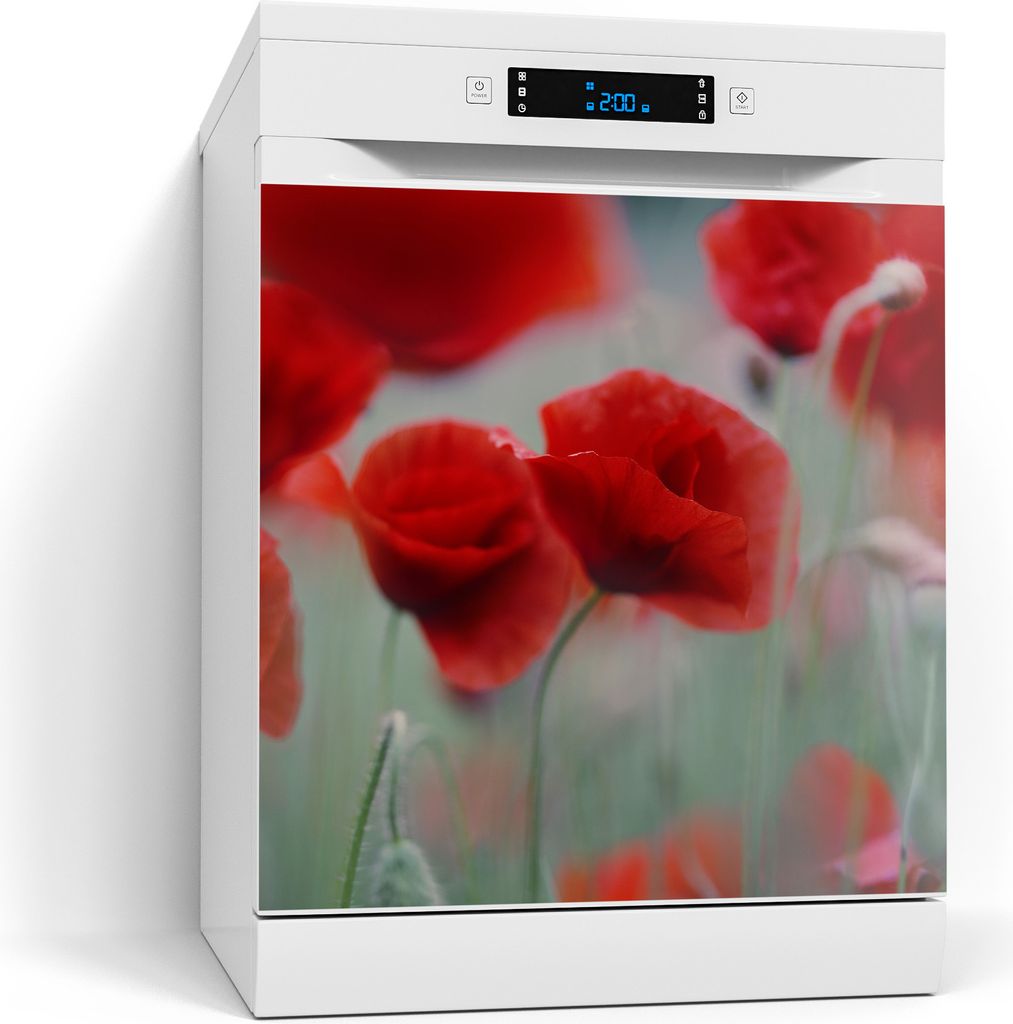 DEQORI Magnetmatte Spülmaschine beschreibbar 60x60 cm 'Mohnblütenzauber' Magnetfolie
