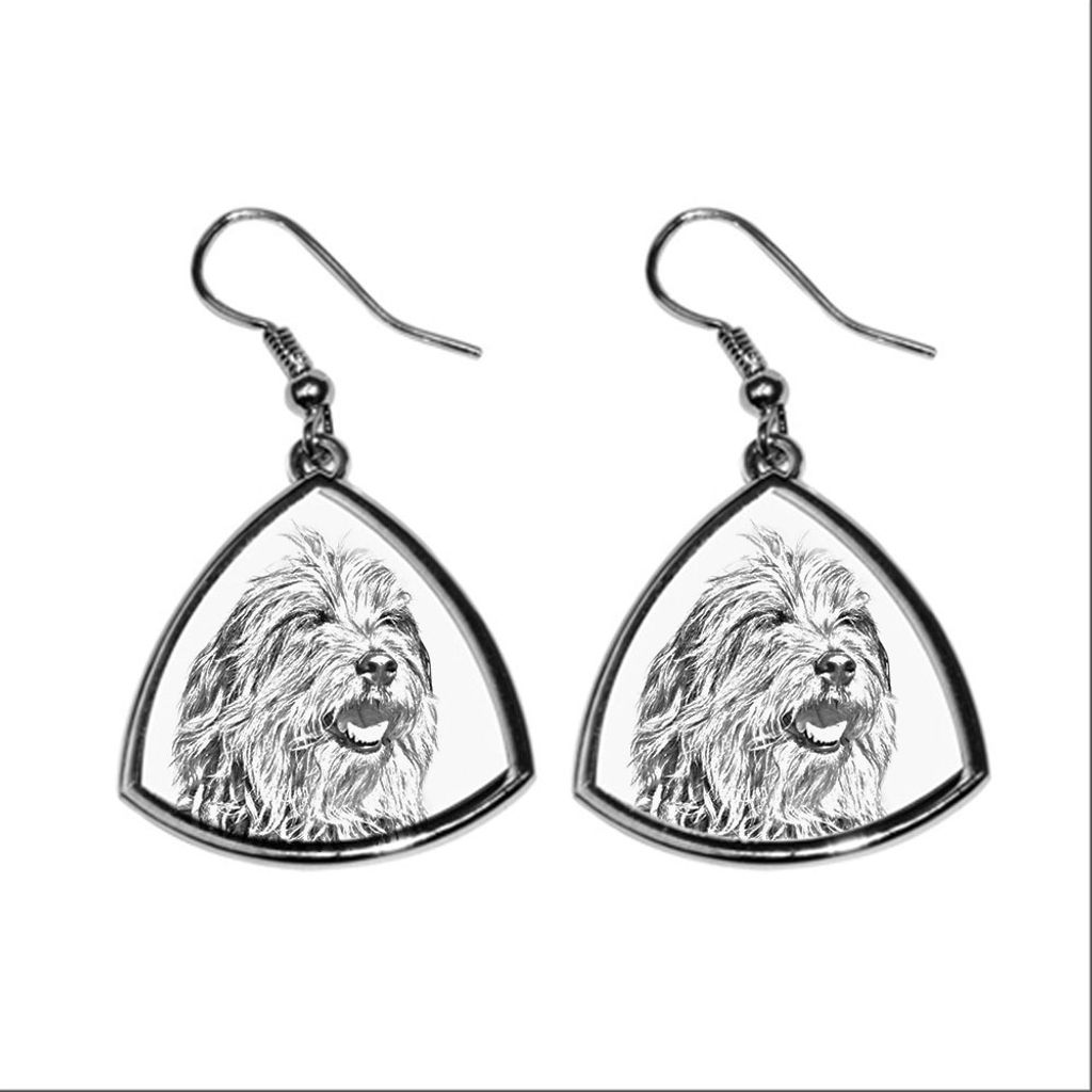 Bergamasker Hirtenhund, Berger de bergame - Hund Ohrringe, hängende Ohrringe mit Bild, personalisierter Schmuck mit dem Aufdruck der Marke Art-Dog