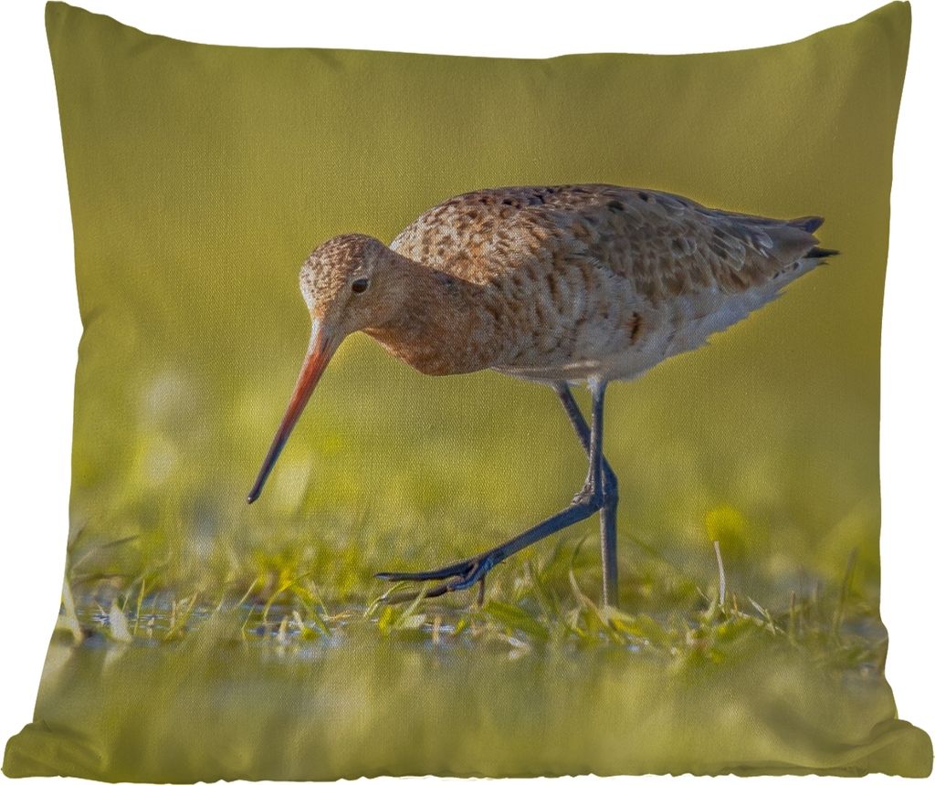 MuchoWow Outdoor Kissen - Vögel - Gras - Landschaft - Uferschnepfe - 50x50 cm - Wetterfest - Lounge Kissen - Komfortabel - Kissen mit Bild