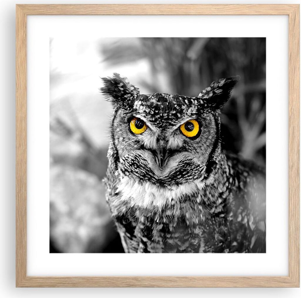 Gerahmtes Poster - Rahmen in heller Eiche - Eule Vogel Produktbild 