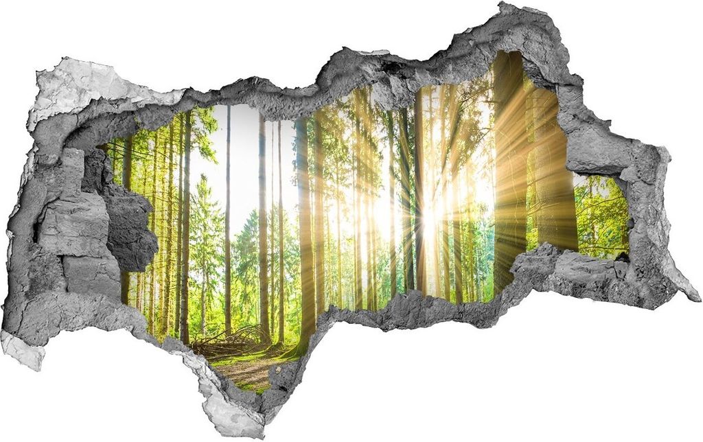 Selbstklebender Loch-3D-Aufkleber 95x73 cm Wald in der Sonne