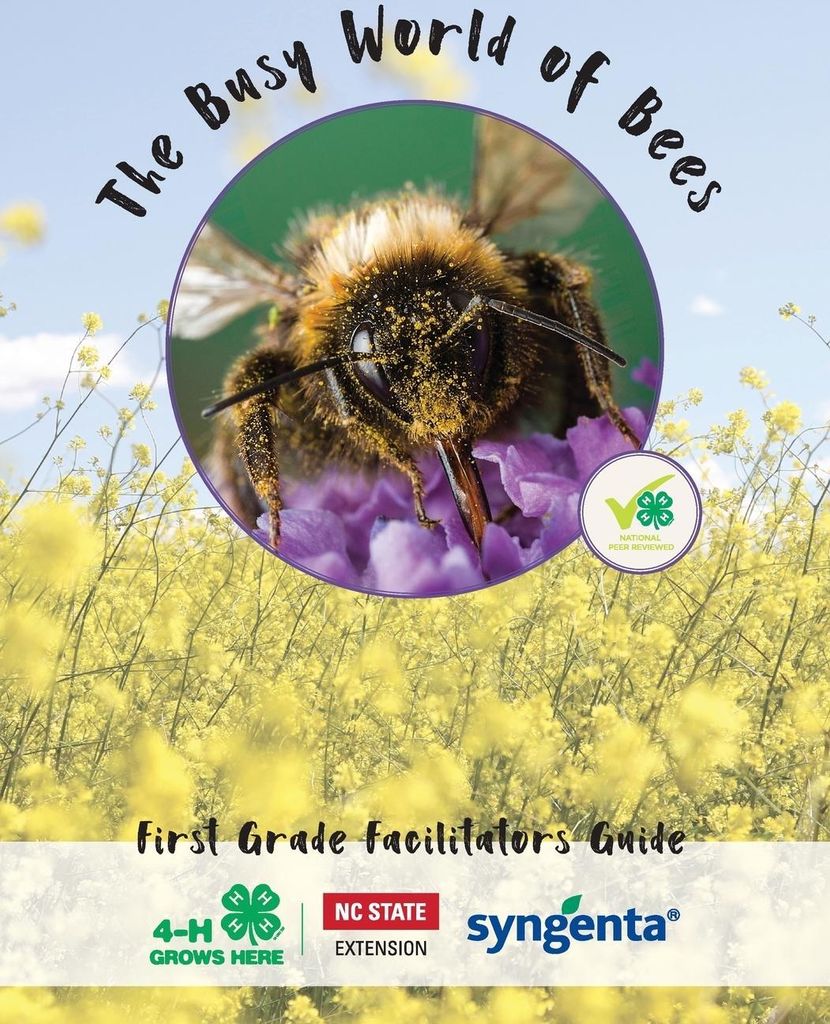 The Busy World of Bees