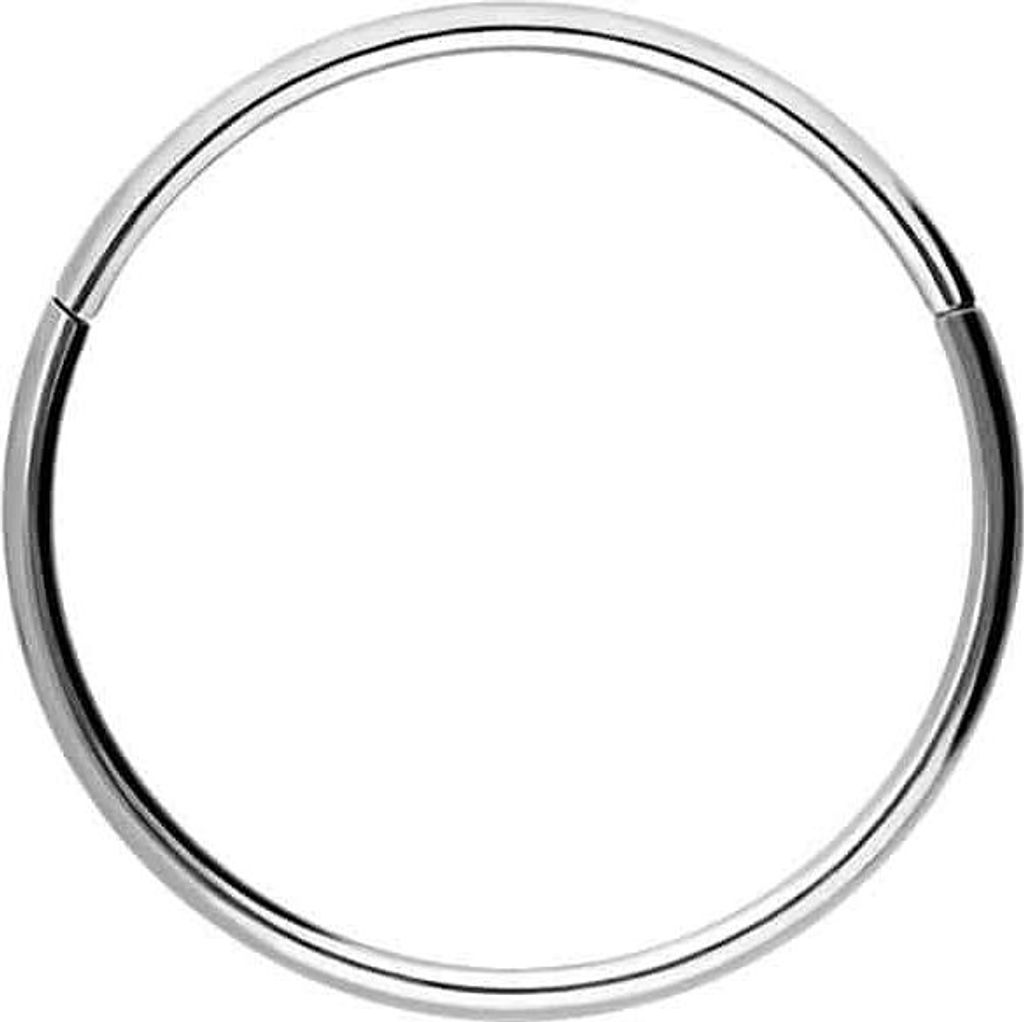 Ohrpiercing, Nasenpiercing, Septum Piercing Titan Segmentring Clicker Silber Innendurchmesser: 10mm + Stabstärke: 0,8mm