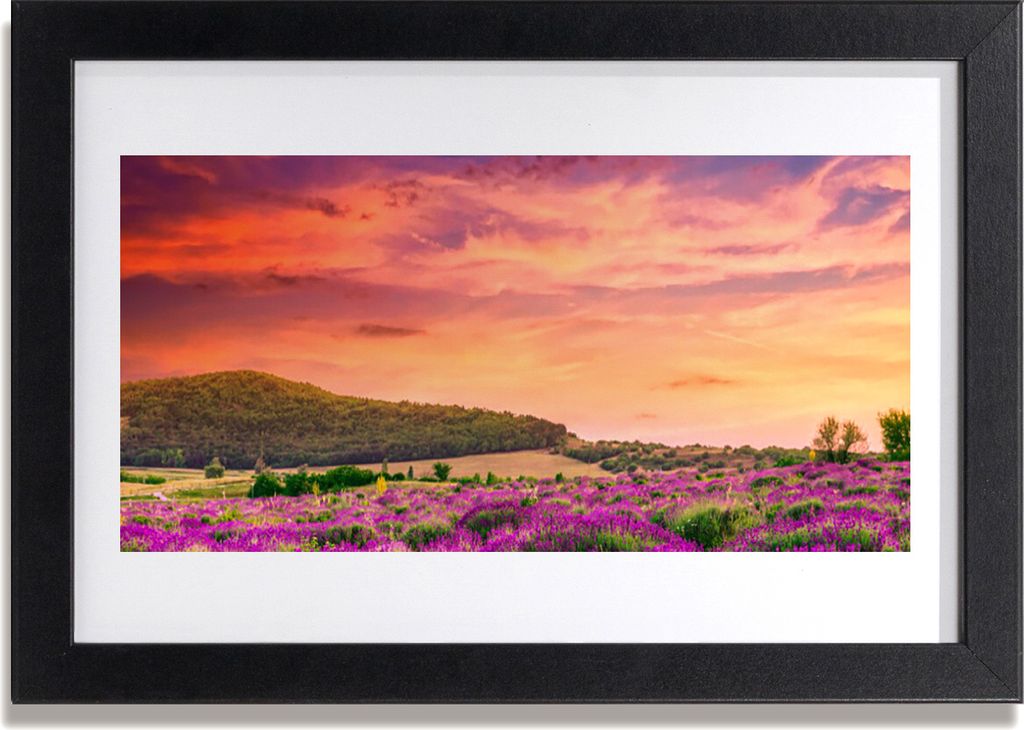 Bild 30x20 MDF-Rahmen Wandkunst Blumen Wiese Landschaft